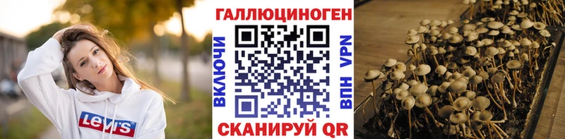 Купить  Черняховск  Галлюциногенные грибы ЛСД 